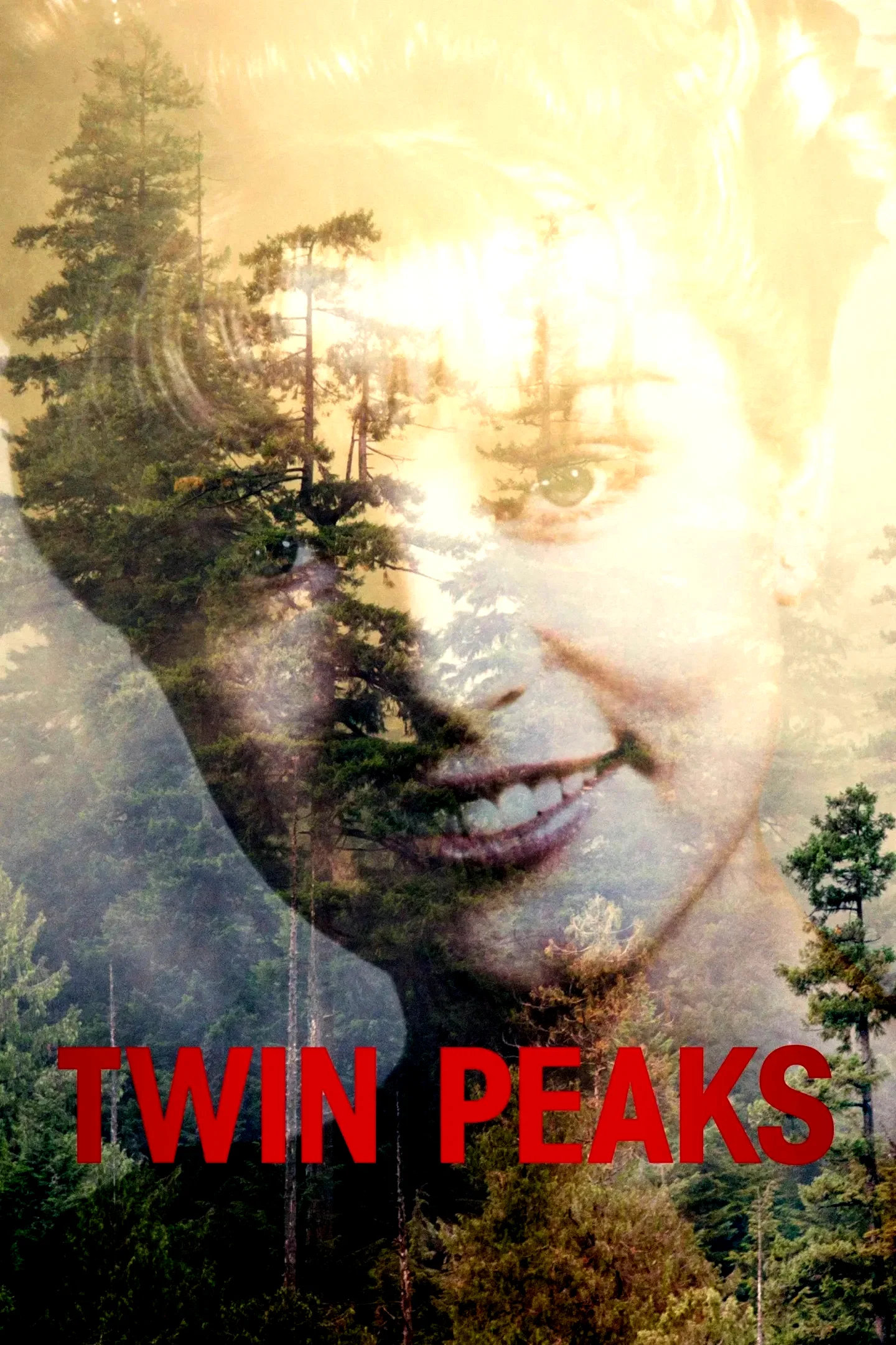 Affiche de la série : Twin Peaks