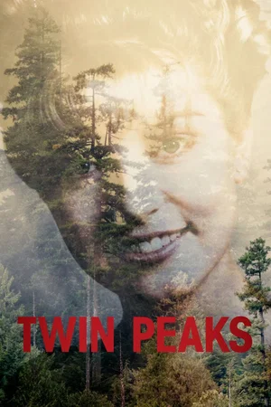 Affiche de la série : Twin Peaks