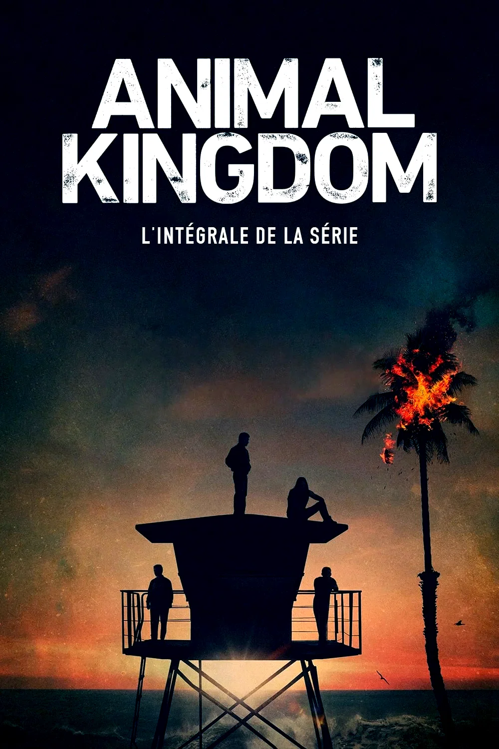 Affiche de la série : Animal Kingdom