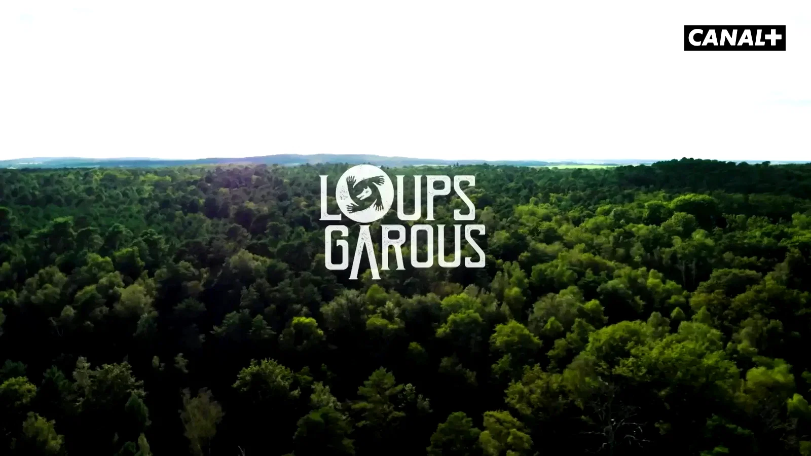 Photo 2 de la série : Loups Garous