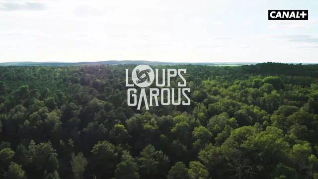 Photo 2 de la série : Loups Garous