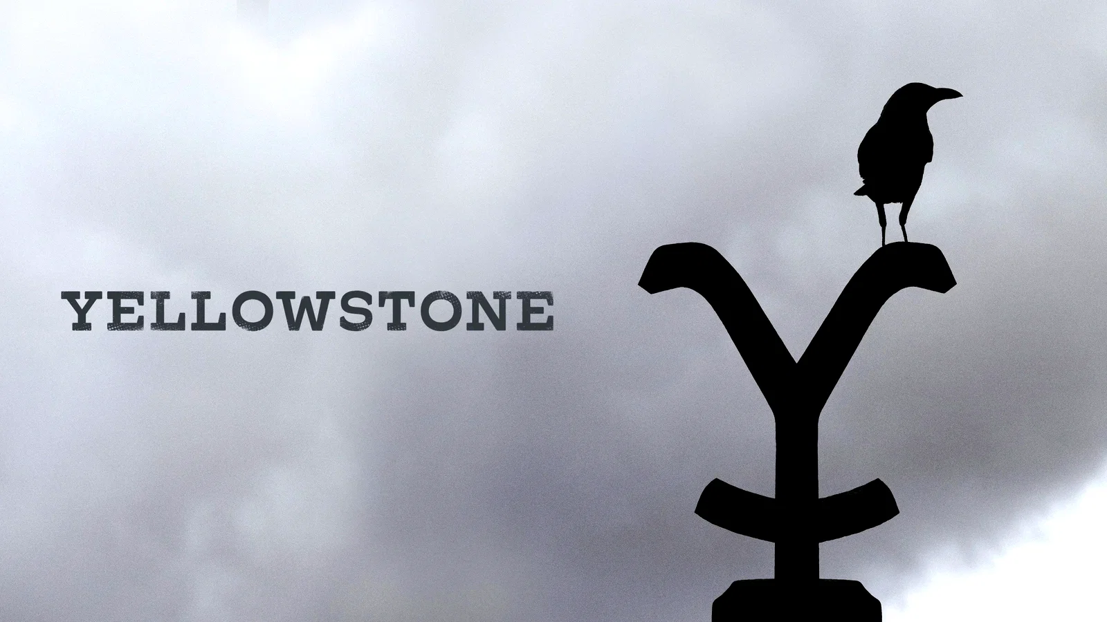 Photo 8 de la série : Yellowstone
