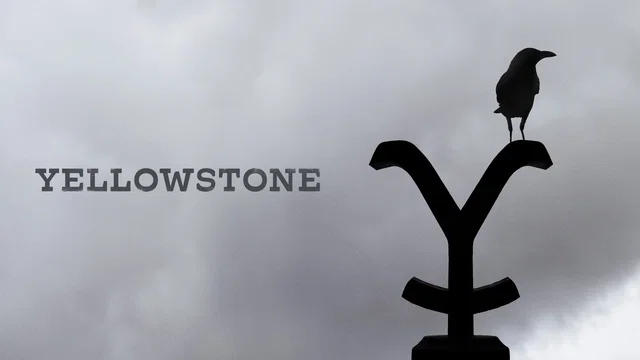 Photo de la série : Yellowstone