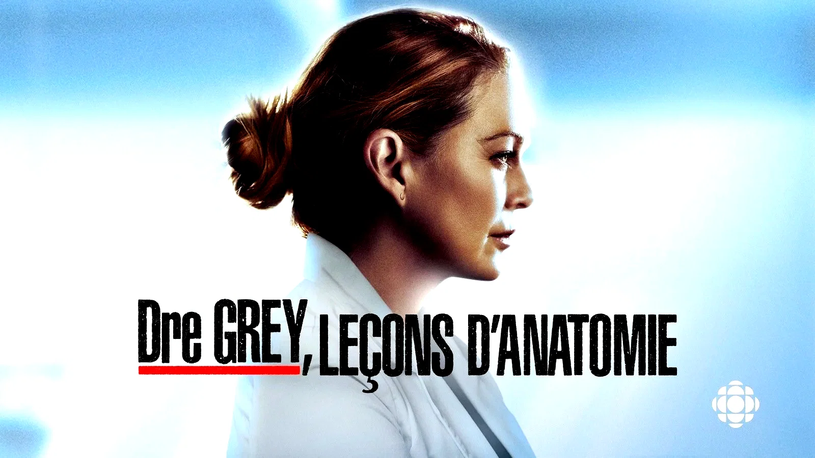 Affiche de la série : Grey's Anatomy