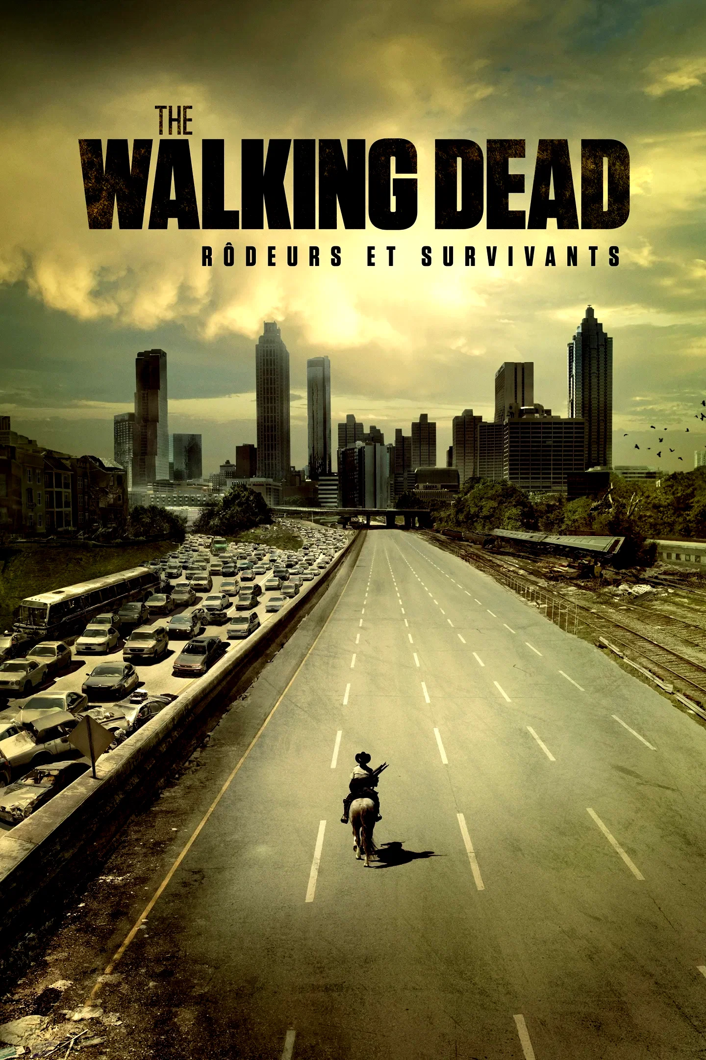 Affiche de la série : The Walking Dead