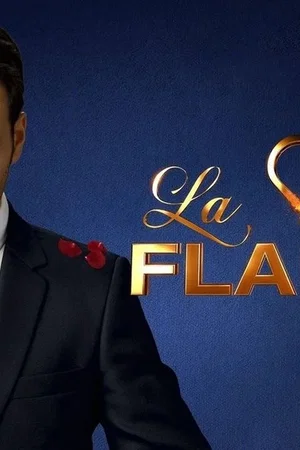 Affiche de la série : La Flamme