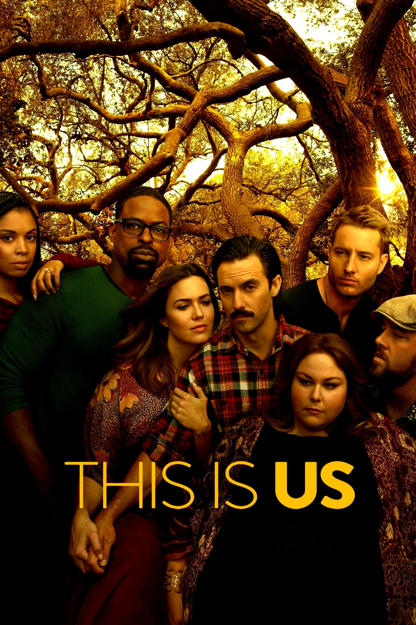 Photo de la série : This is Us