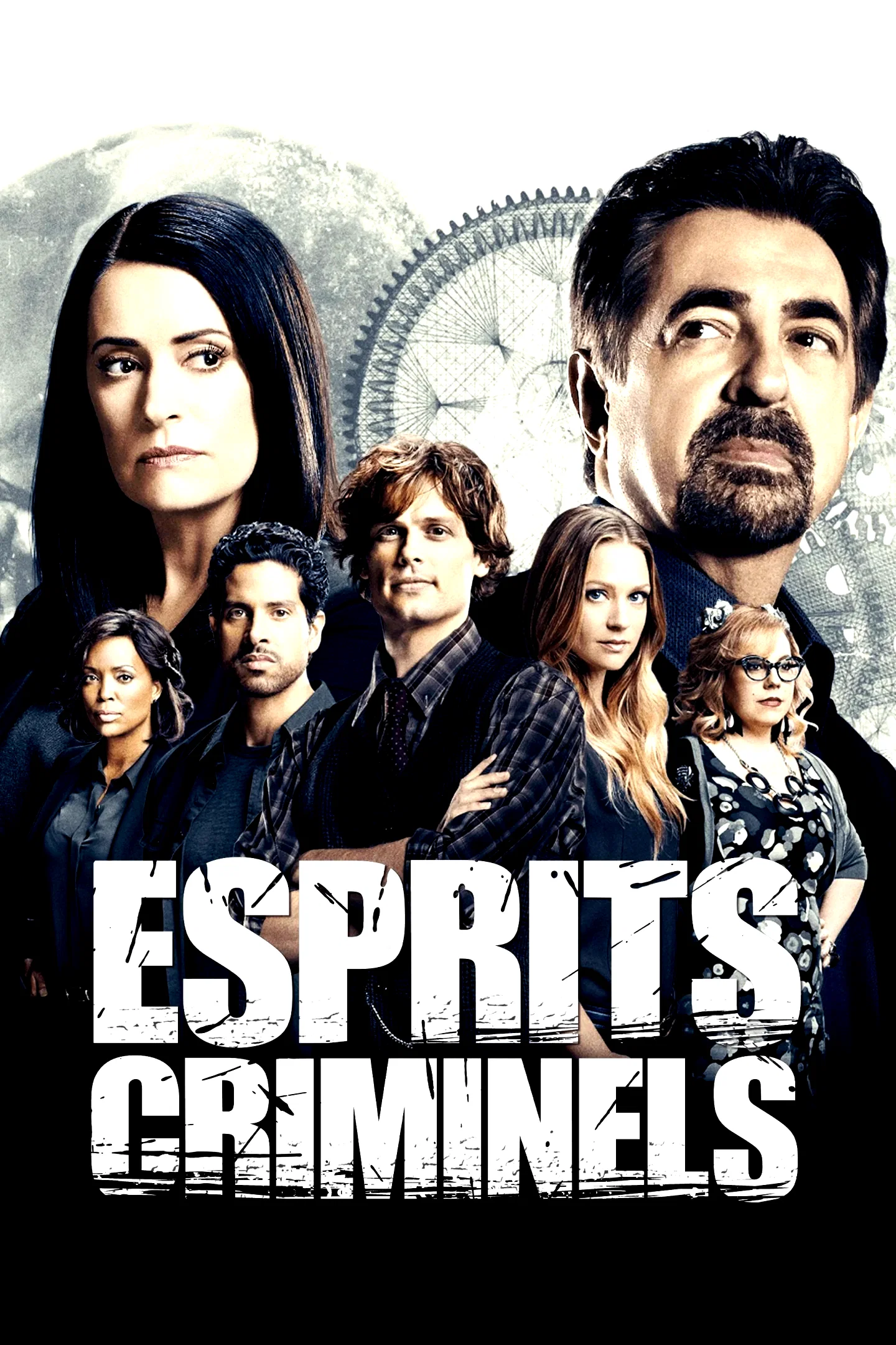 Affiche de la série : Esprits criminels
