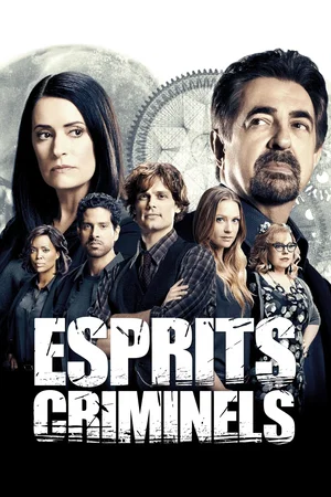 Affiche de la série : Esprits criminels