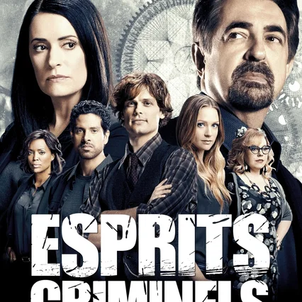 Photo de la série : Esprits criminels