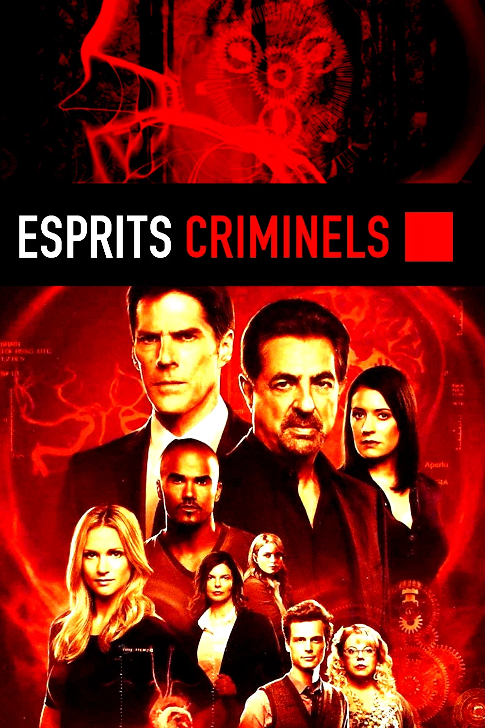 Photo de la série : Esprits criminels