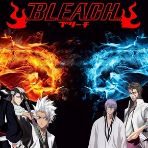 Photo de la série : Bleach