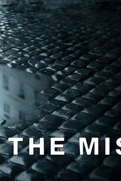 Affiche de la série The Missing