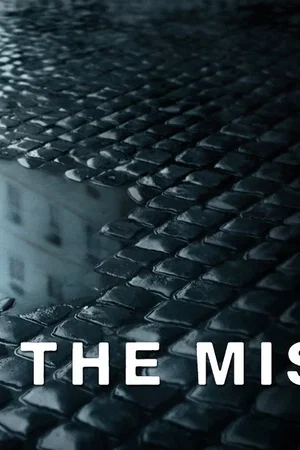 Affiche de la série : The Missing