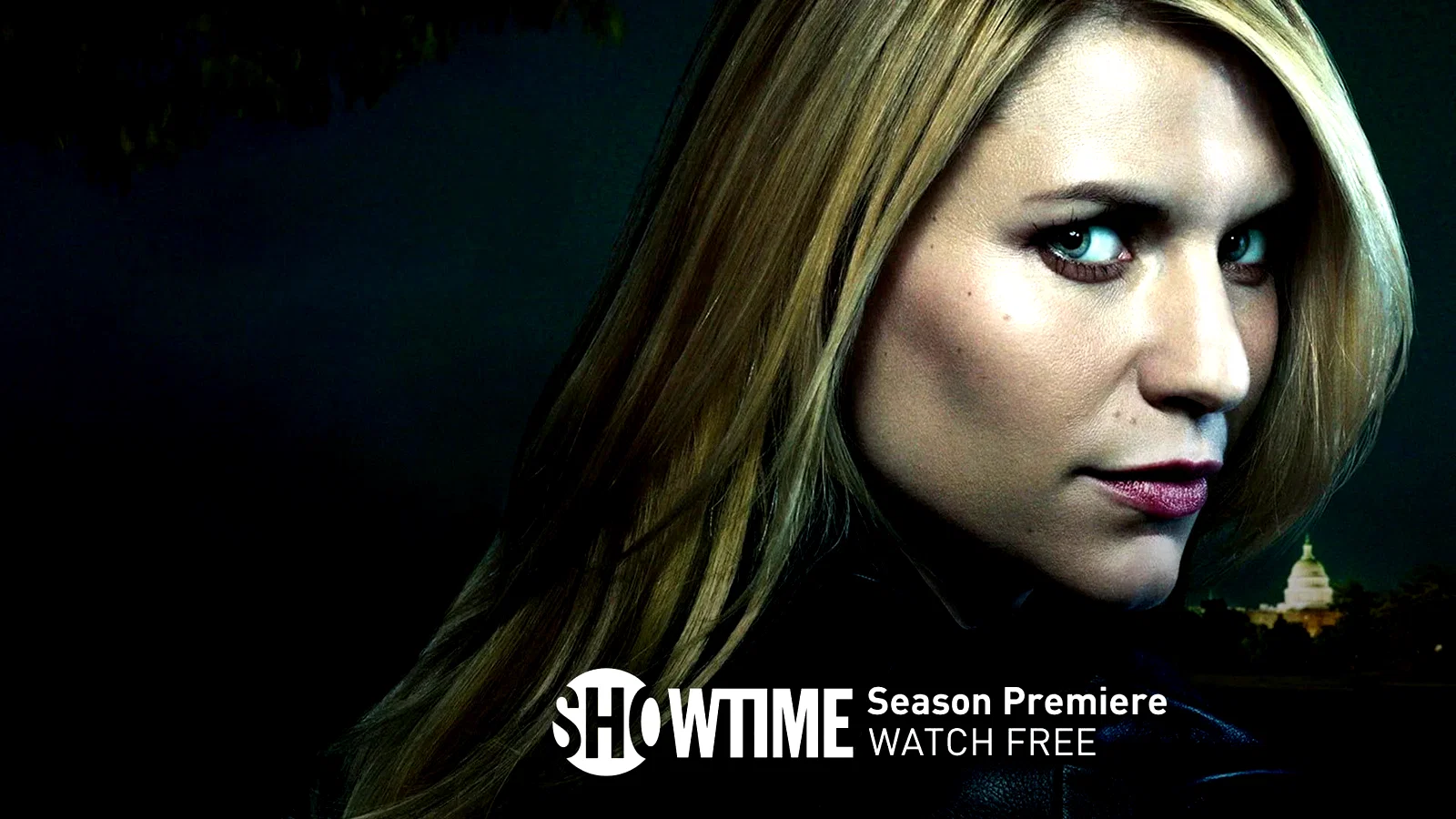 Photo 7 de la série : Homeland