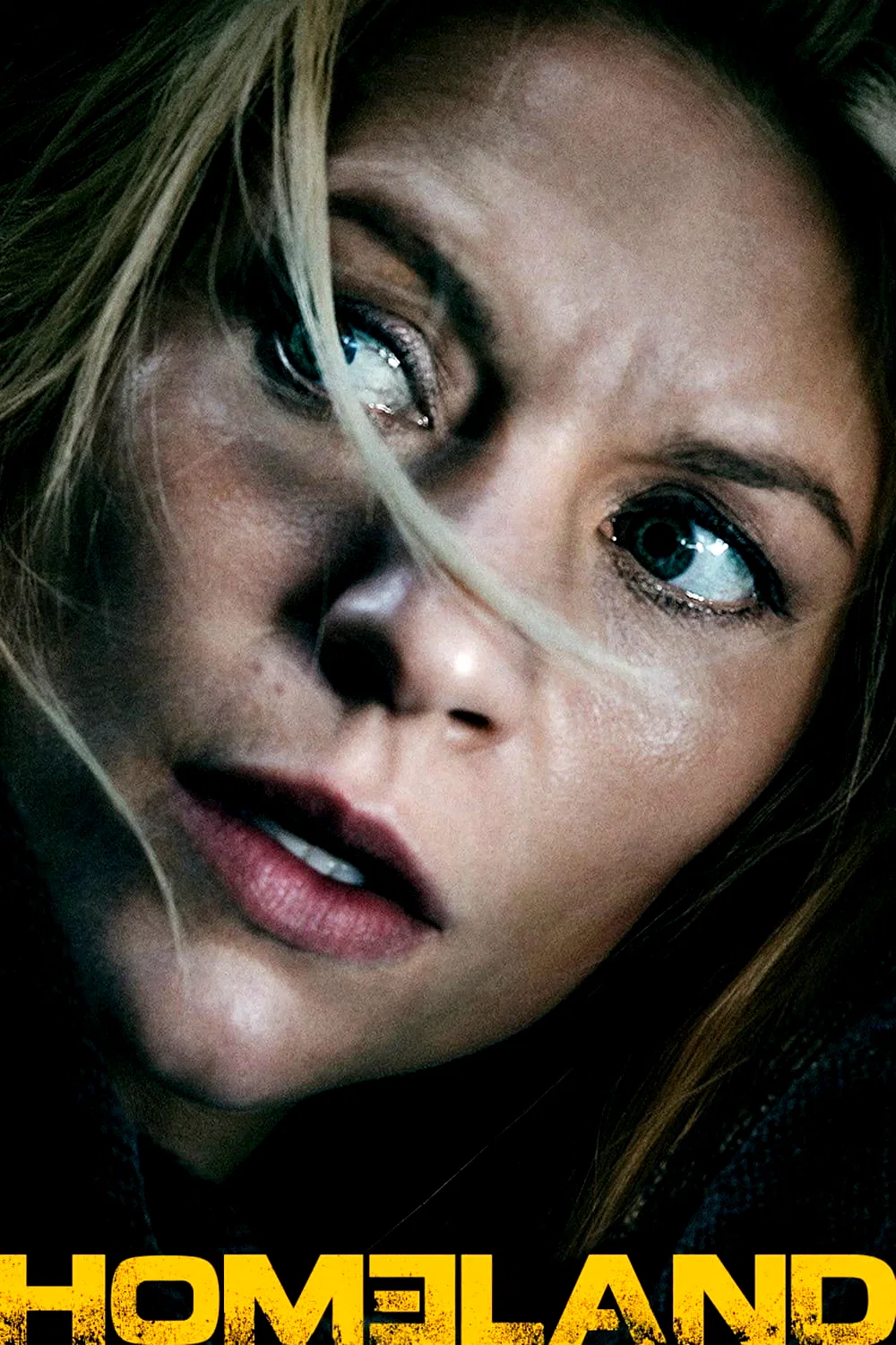 Photo 13 de la série : Homeland