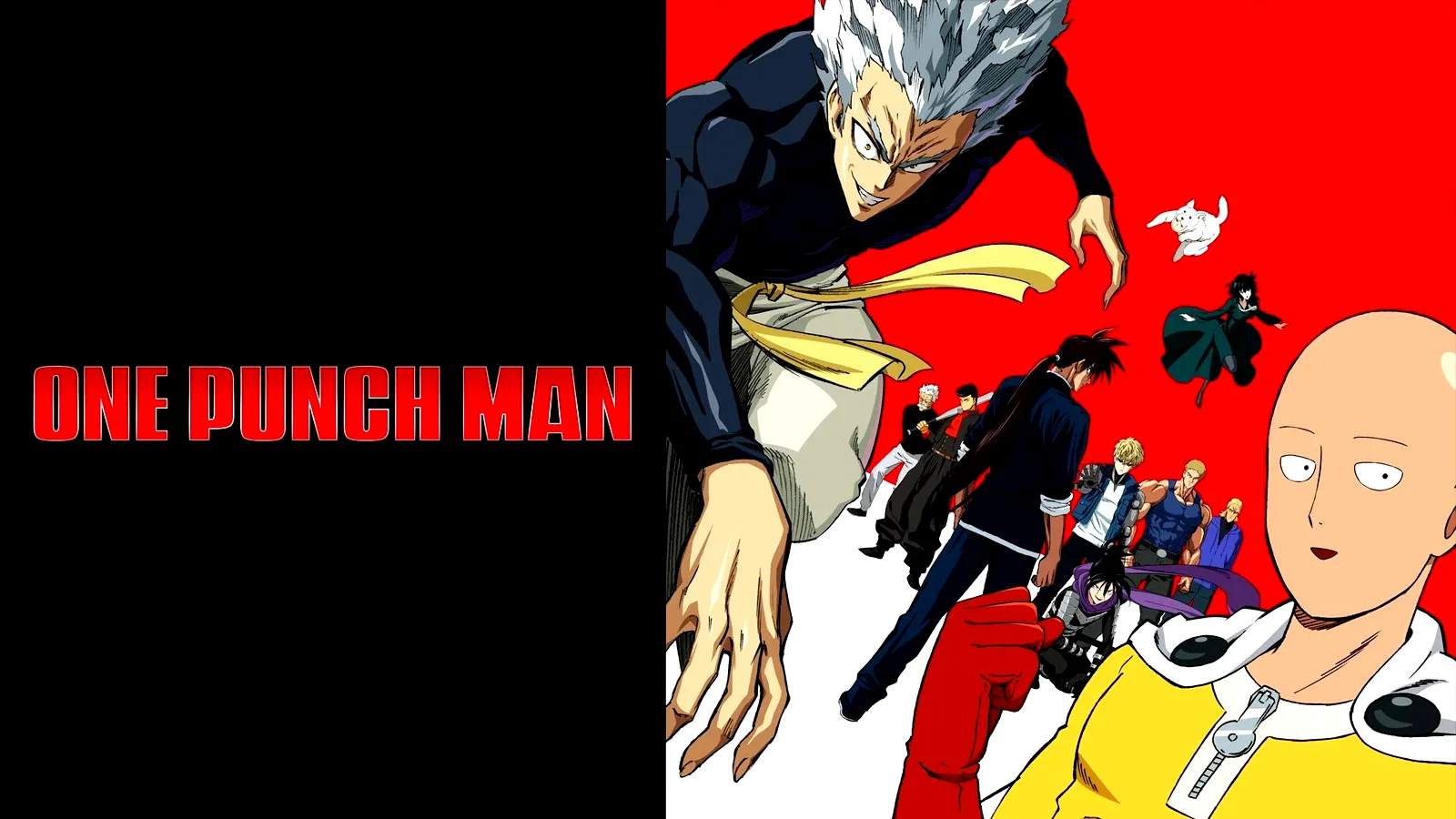 Photo 5 de la série : One-Punch Man