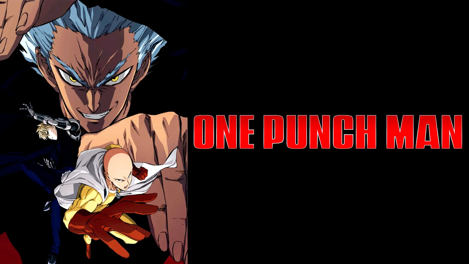 Photo 6 de la série : One-Punch Man