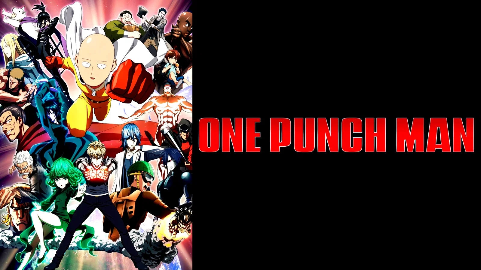 Photo 8 de la série : One-Punch Man