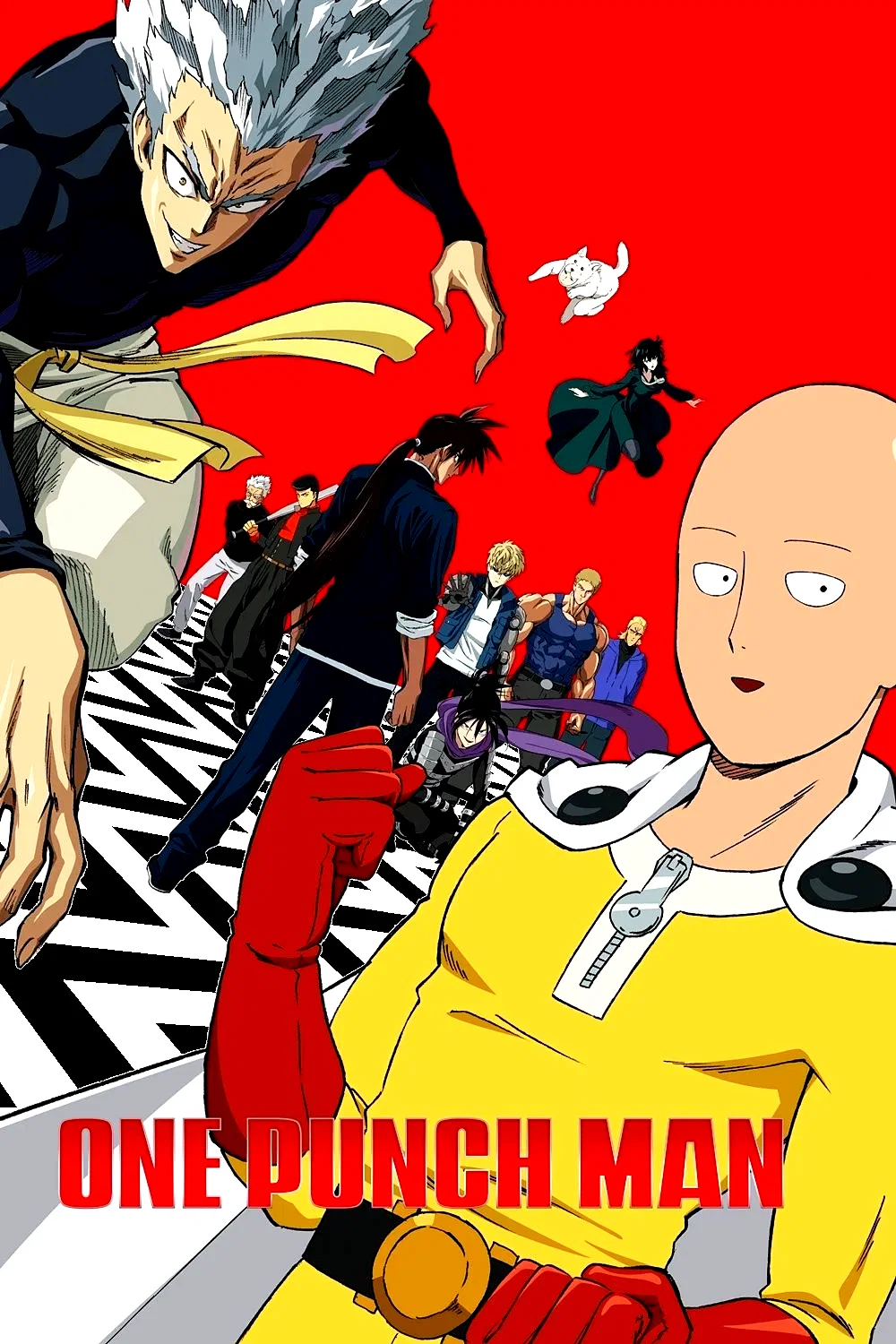 Photo 11 de la série : One-Punch Man