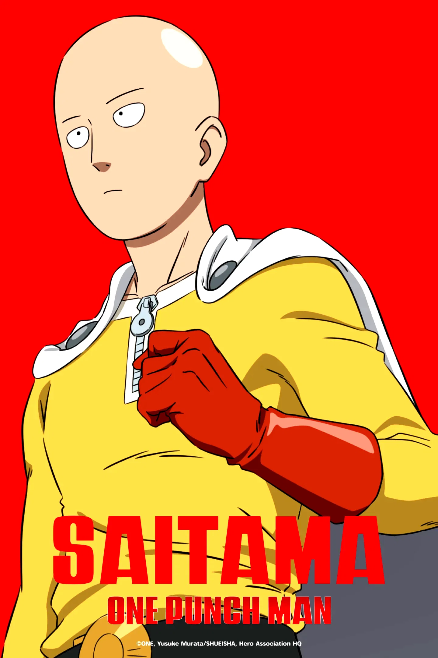 Photo 16 de la série : One-Punch Man