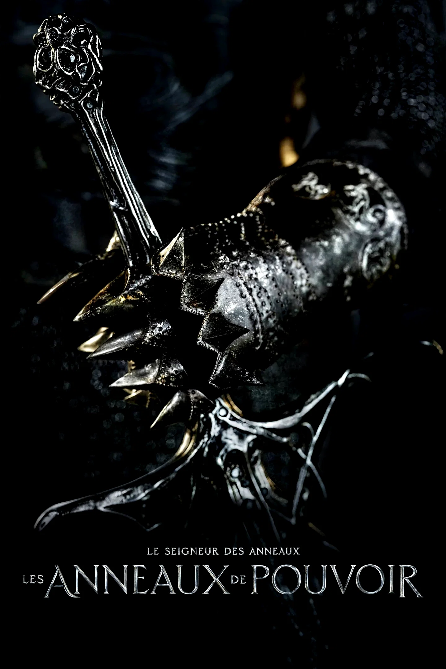 Photo 11 de la série : Le Seigneur des anneaux : Les Anneaux de pouvoir