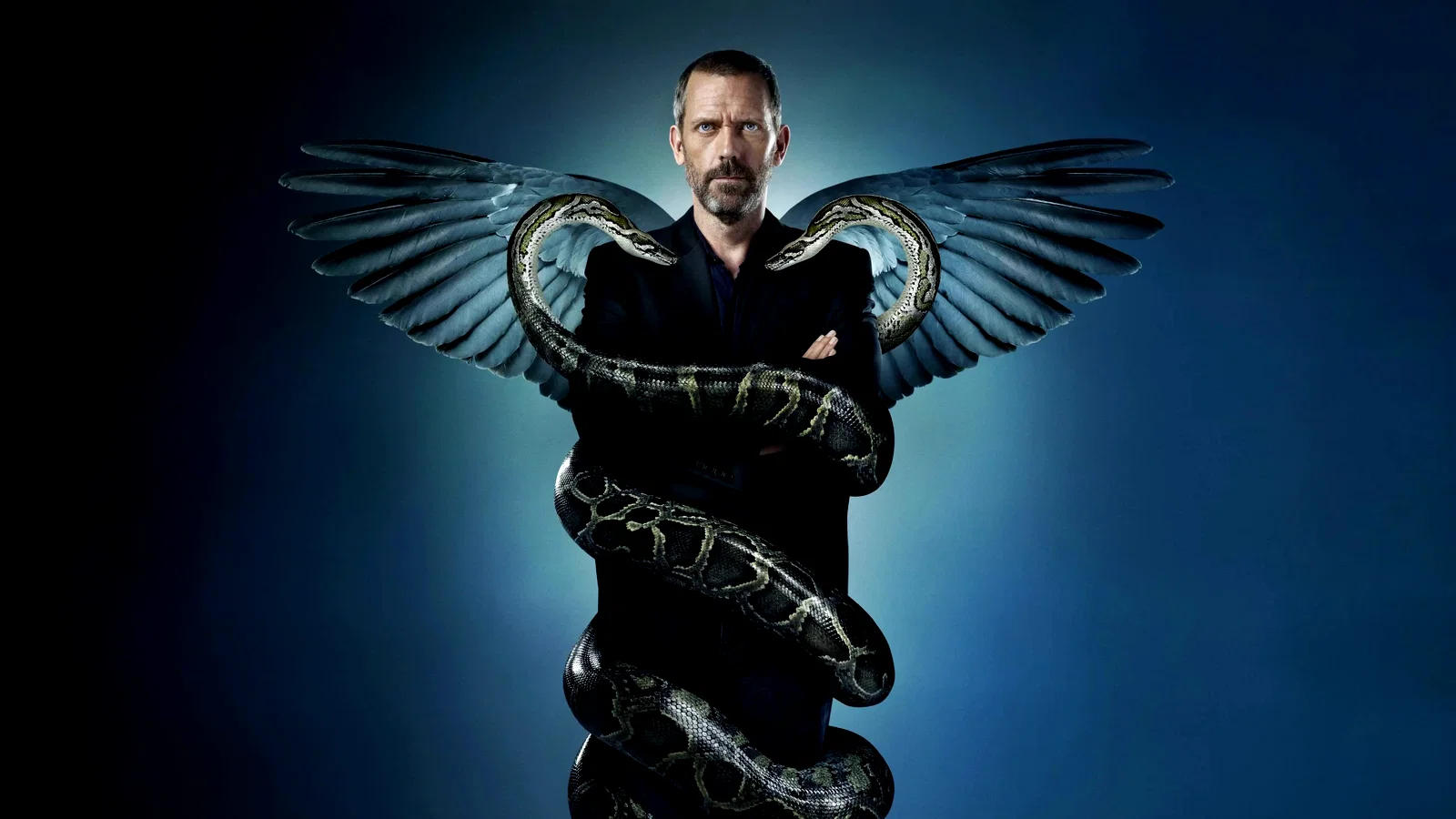 Photo 4 de la série : Dr House