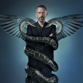 Photo de la série : Dr House