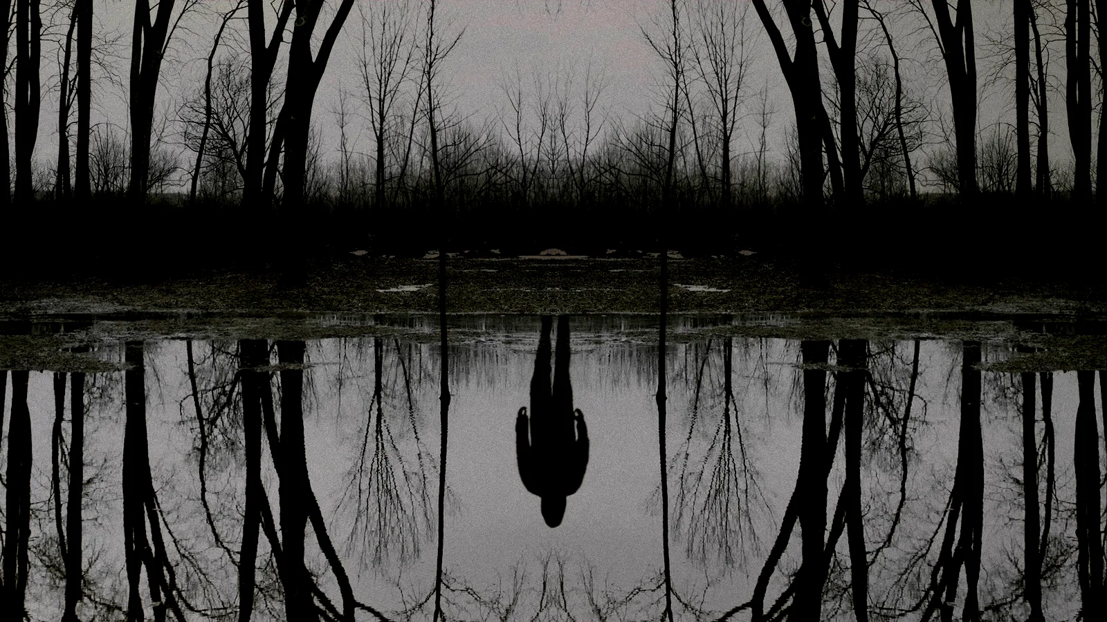 Photo 5 de la série : The Outsider