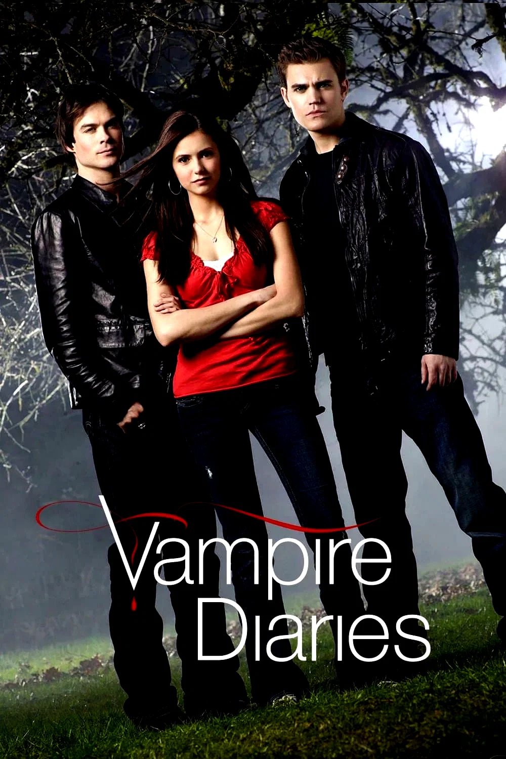 Photo 3 de la série : Vampire Diaries