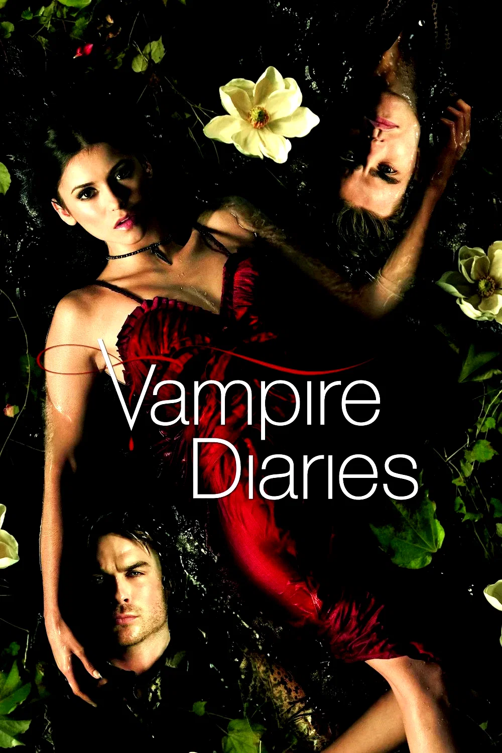 Photo 9 de la série : Vampire Diaries