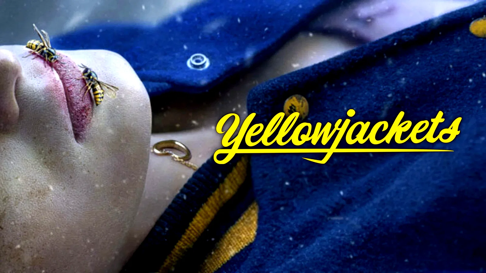 Photo 8 de la série : Yellowjackets