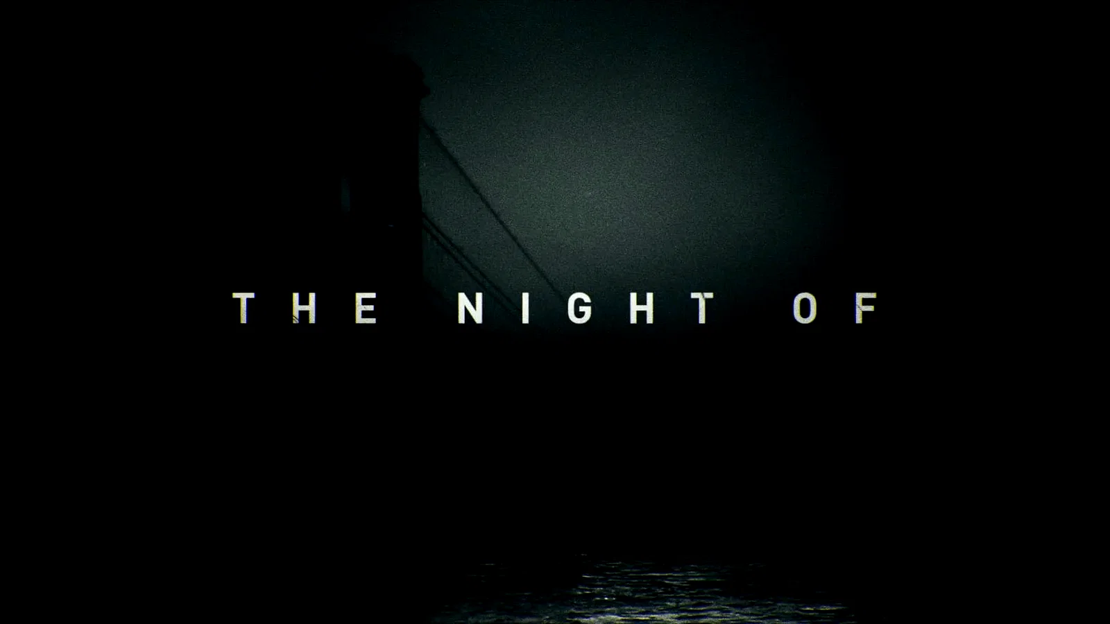 Photo 4 de la série : The Night Of