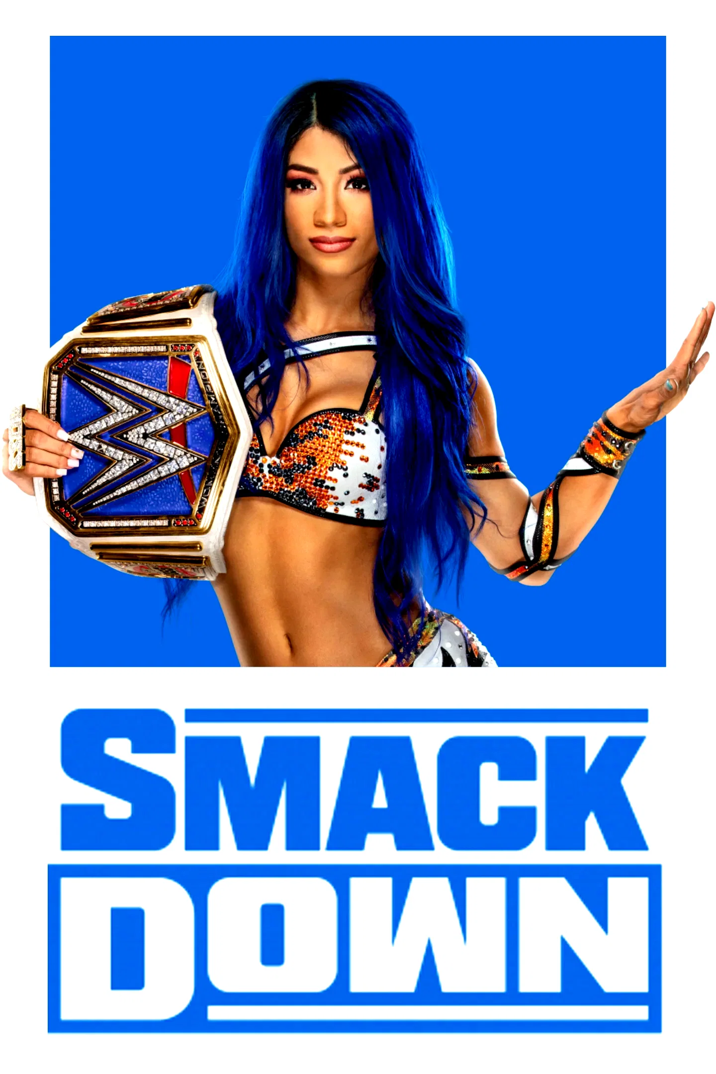 Photo 19 de la série : WWE SmackDown Live
