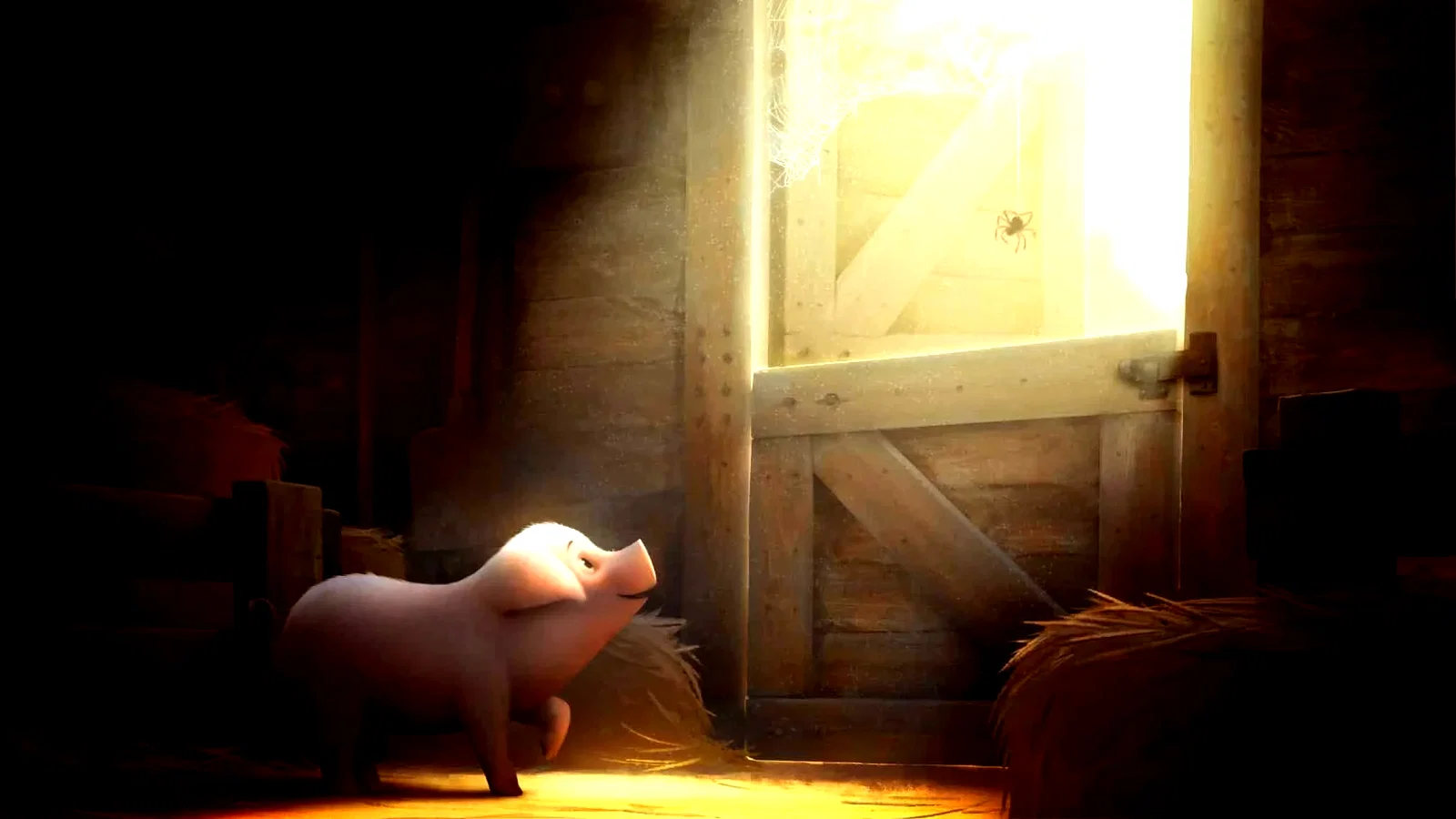 Photo de la série : E.B. White's Charlotte's Web