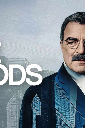 Affiche de la série : Blue Bloods