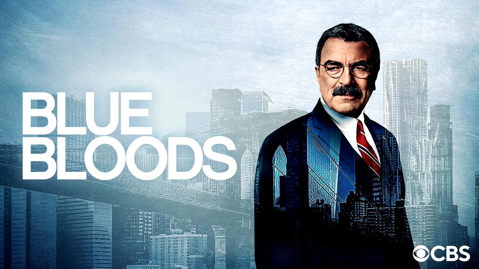Photo 8 de la série : Blue Bloods