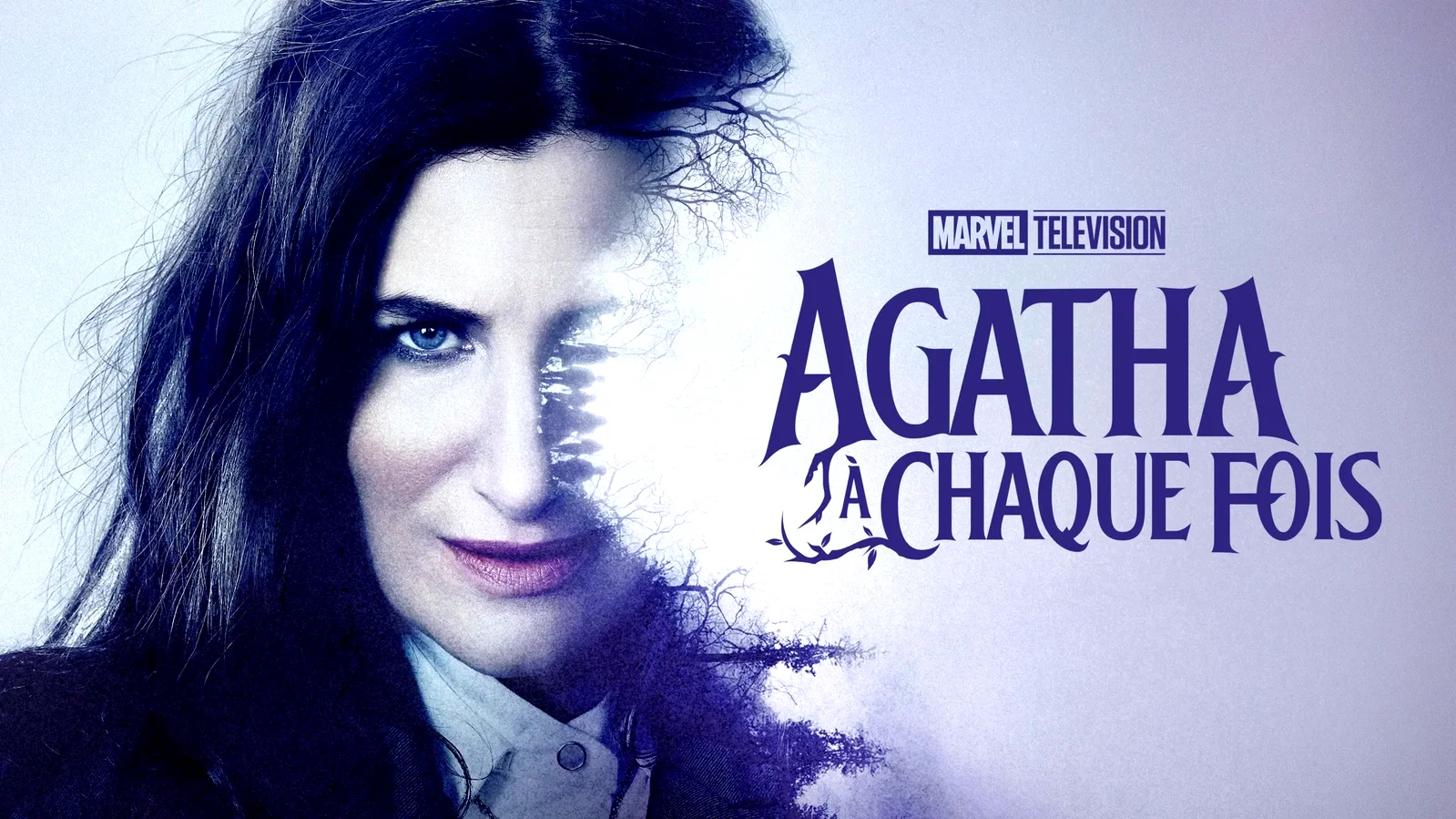 Affiche de la série : Agatha All Along