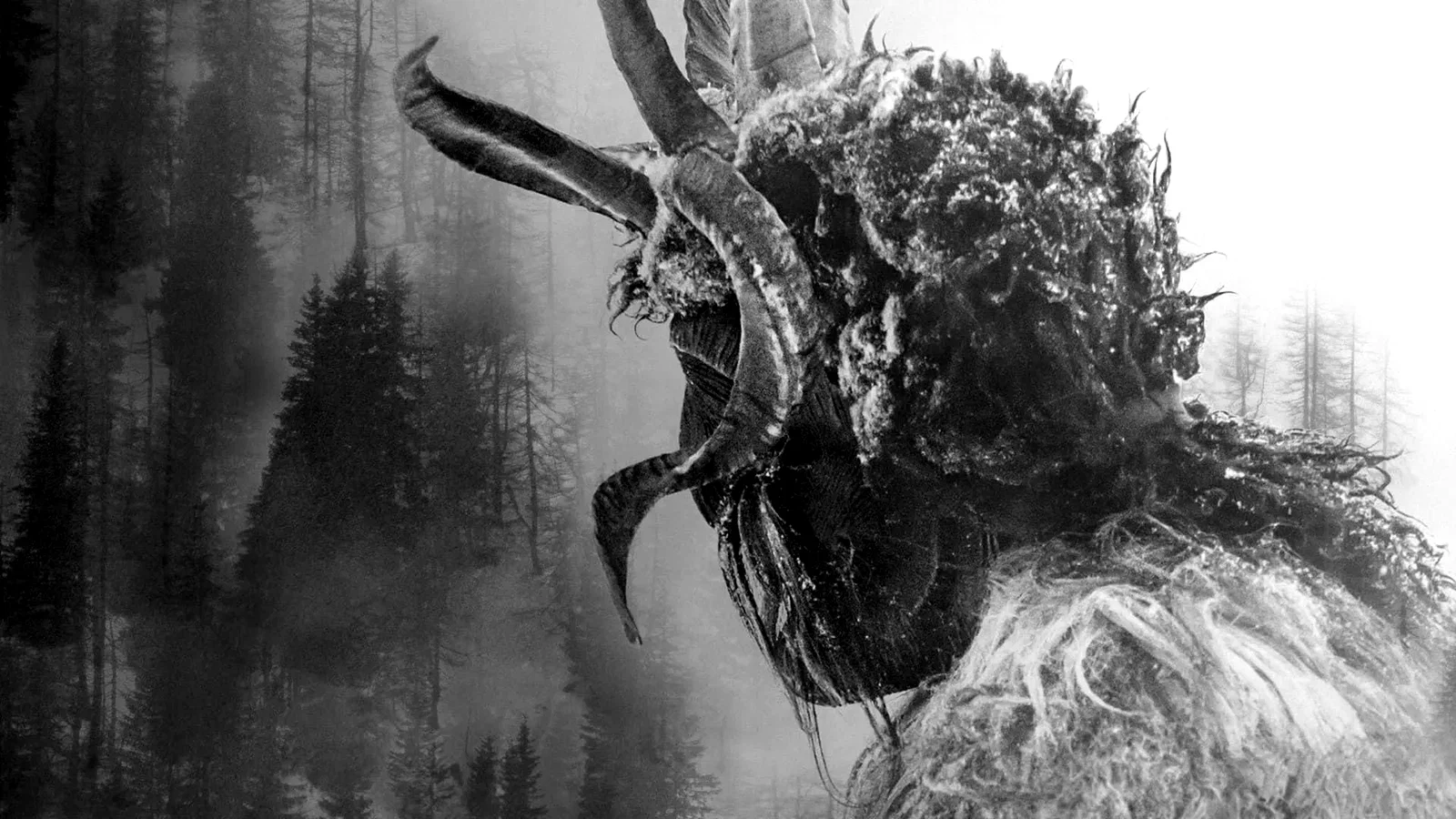 Photo 2 de la série : Pagan Peak