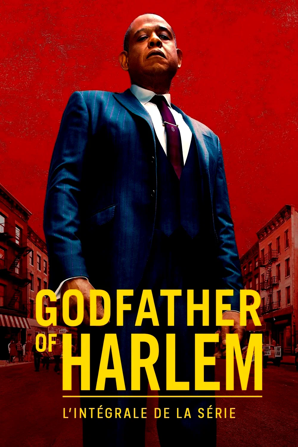 Affiche de la série : Godfather of Harlem