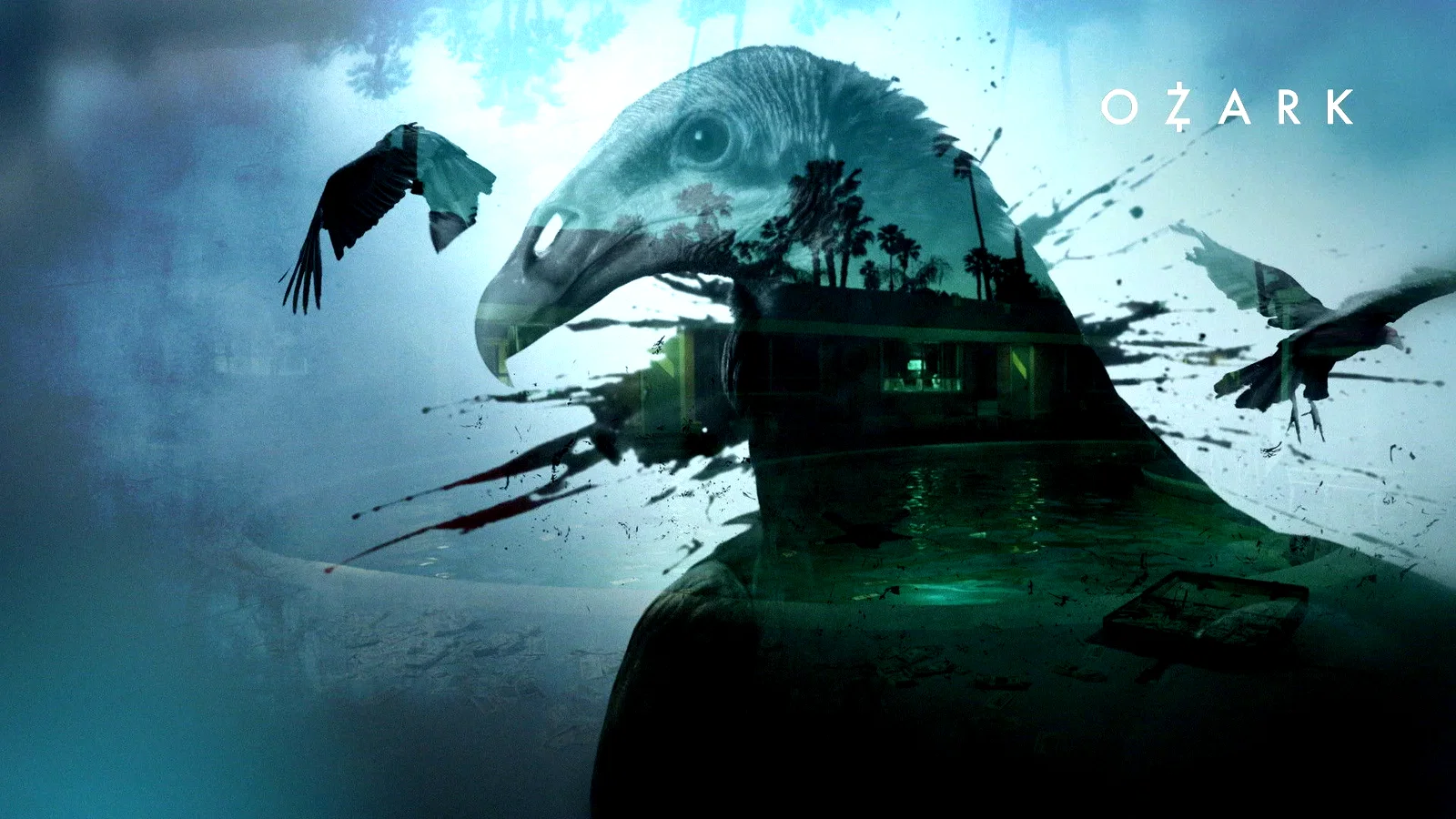 Photo 6 de la série : Ozark