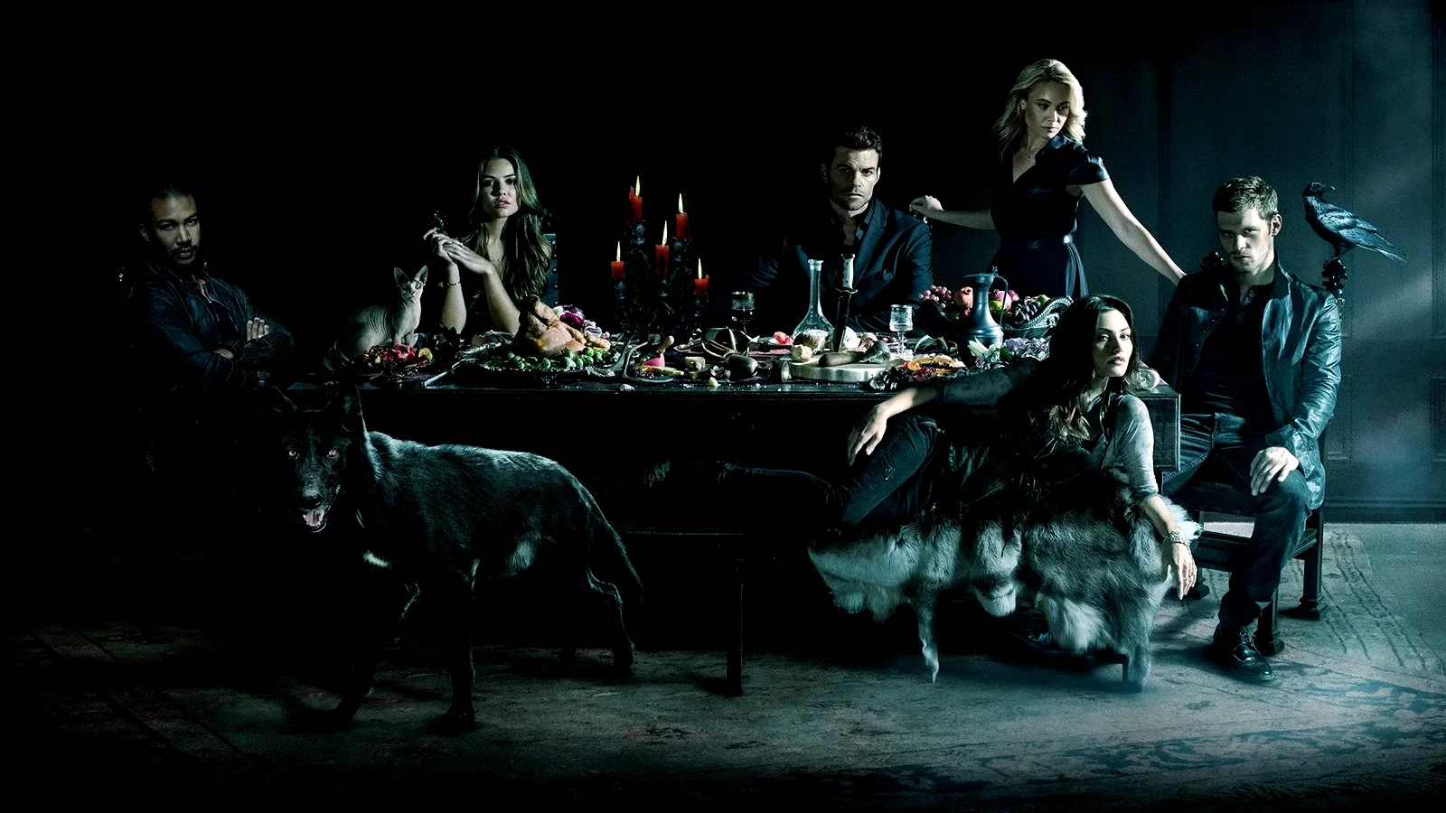 Photo 4 de la série : The Originals