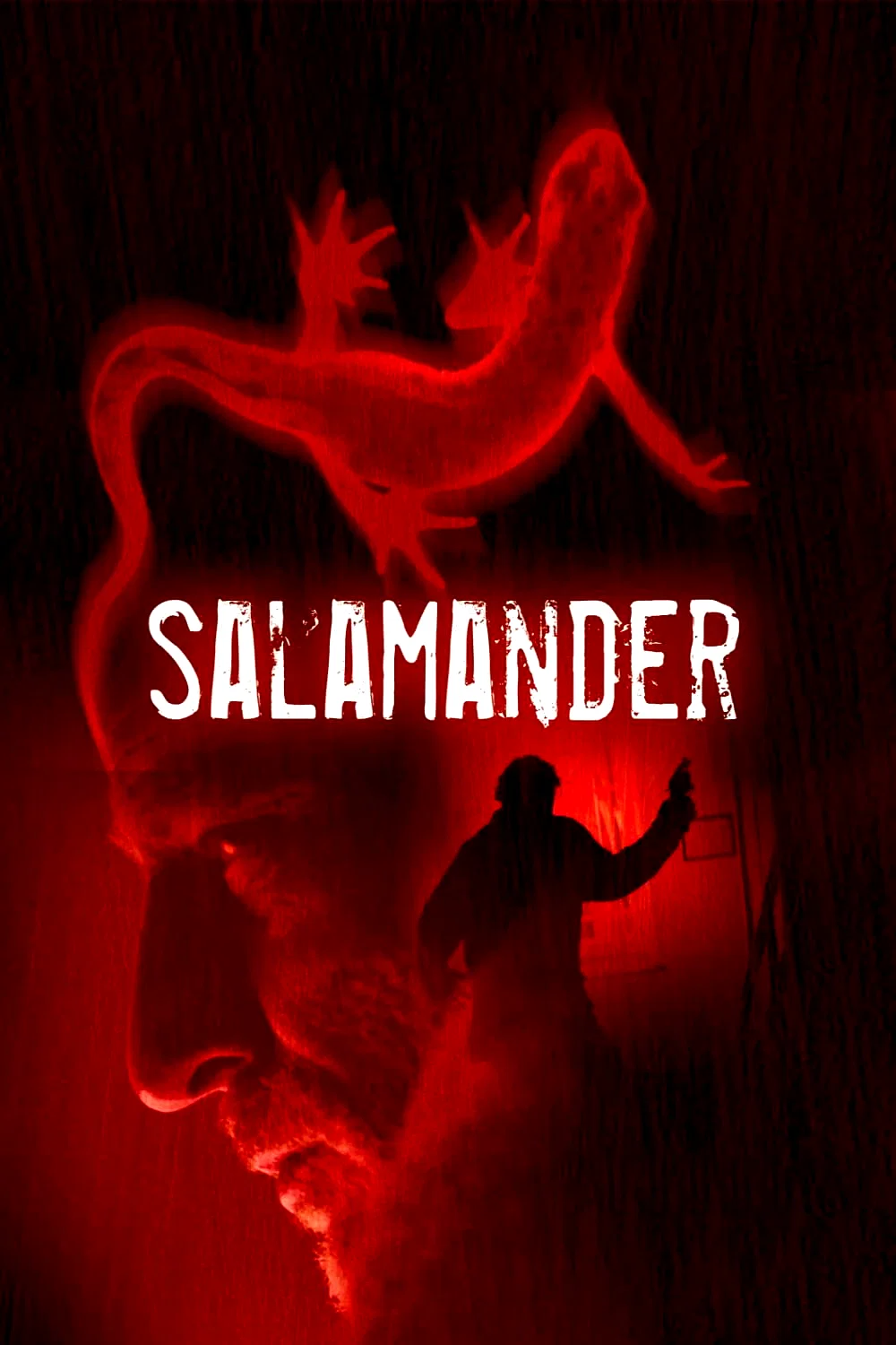 Affiche de la série : Salamandre