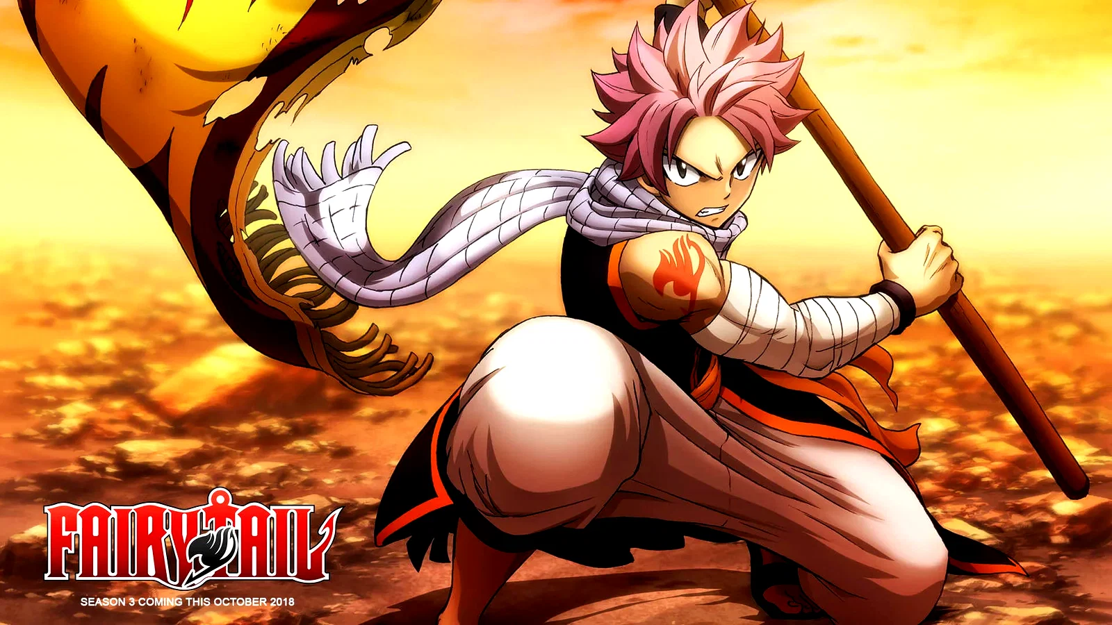 Photo 6 de la série : Fairy Tail