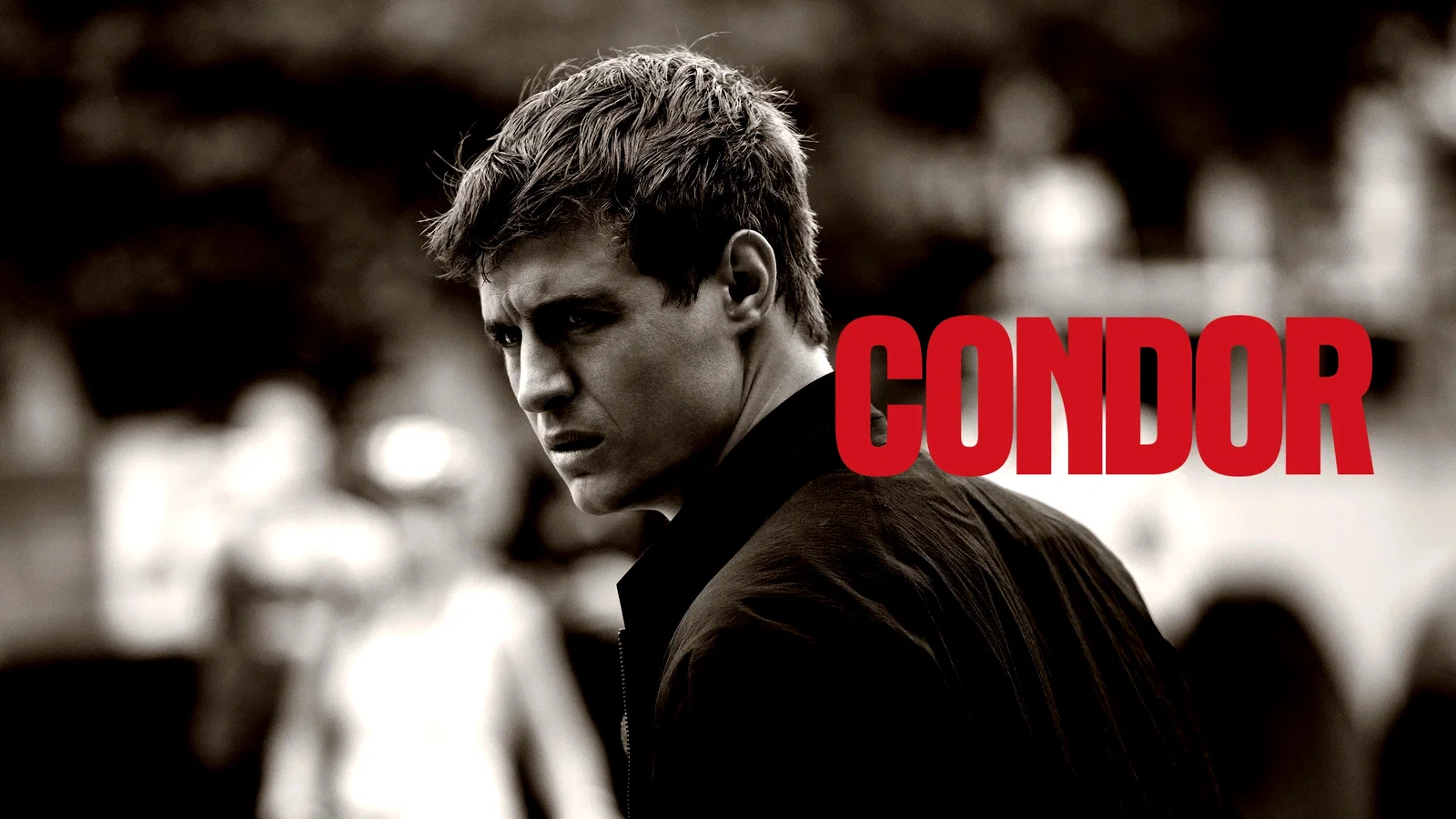 Photo 2 de la série : Condor