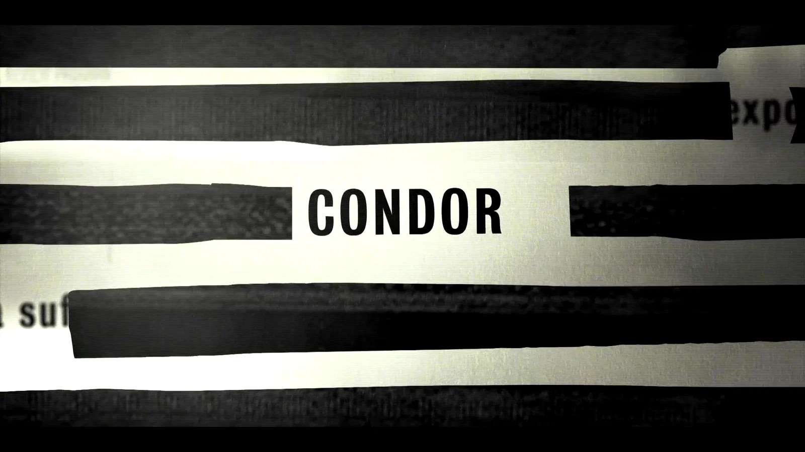 Photo 3 de la série : Condor