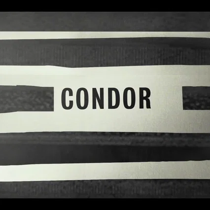 Photo de la série : Condor