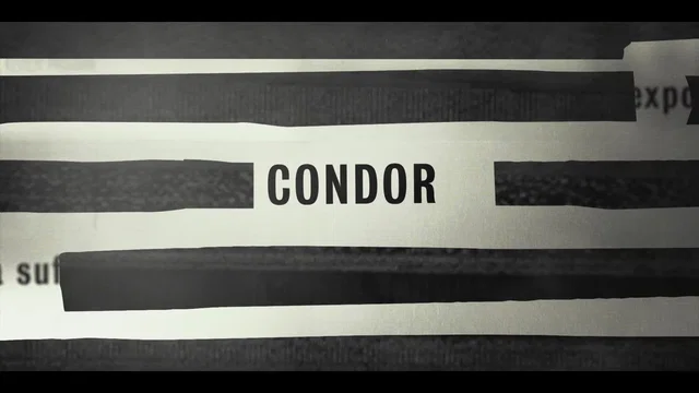 Photo 3 de la série : Condor
