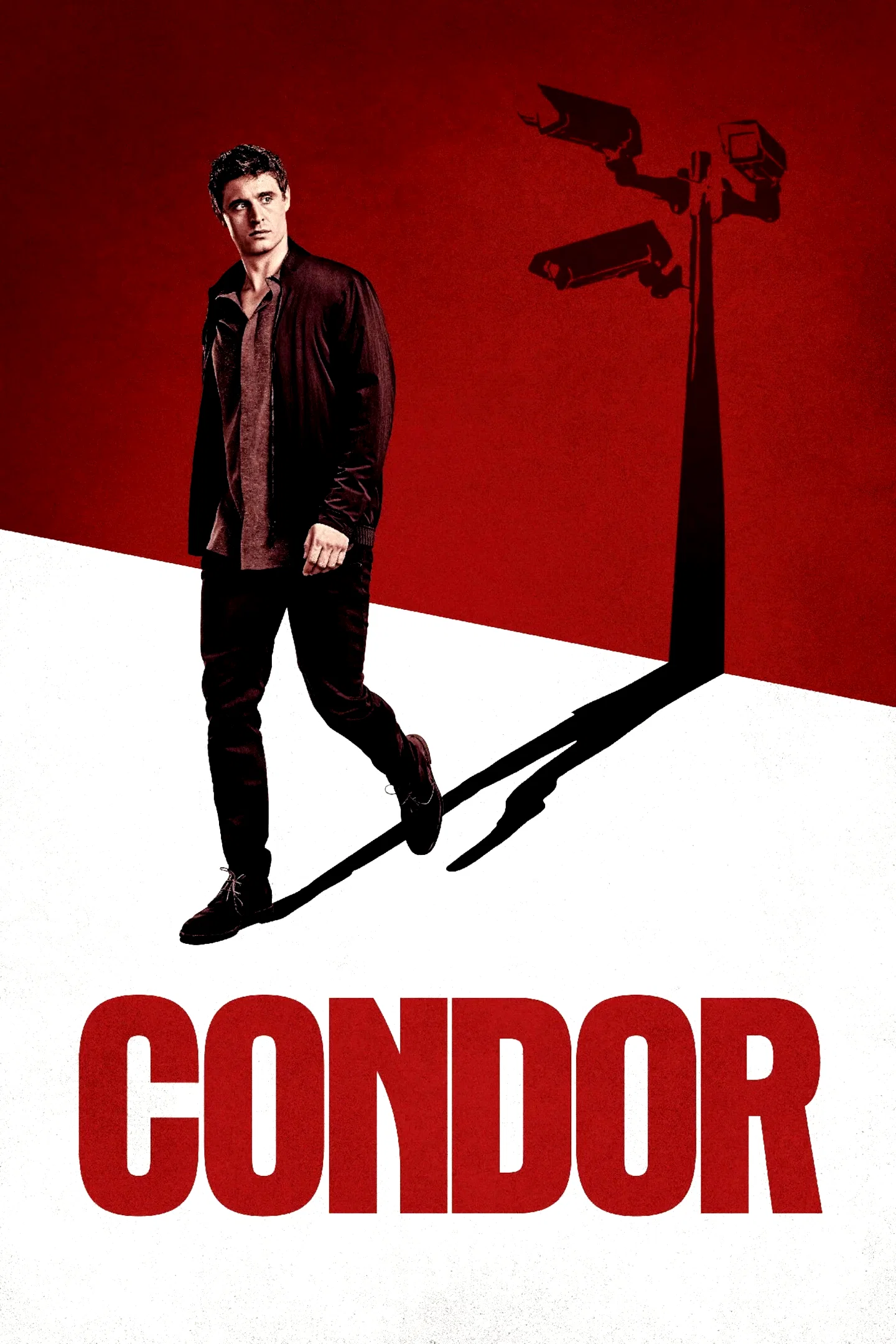 Photo 5 de la série : Condor