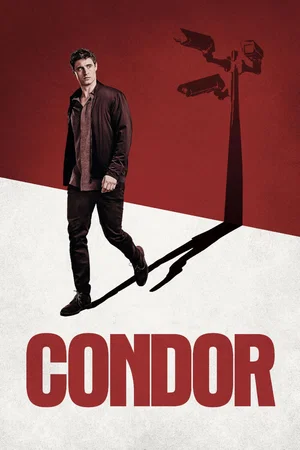 Photo 5 de la série : Condor